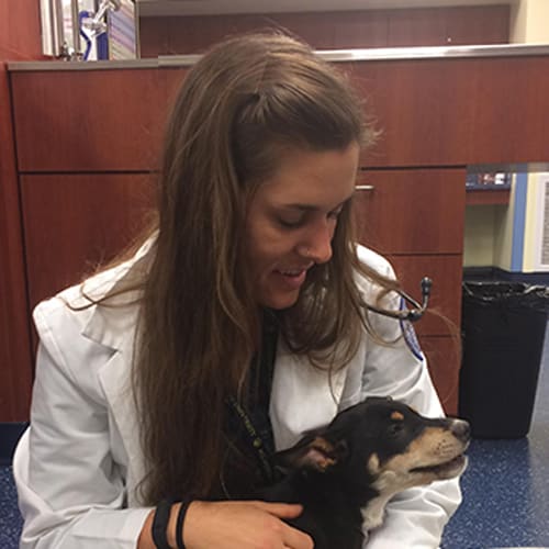 Meet Dr. Christina BirenFetz, Santa Clarita Veterinarian