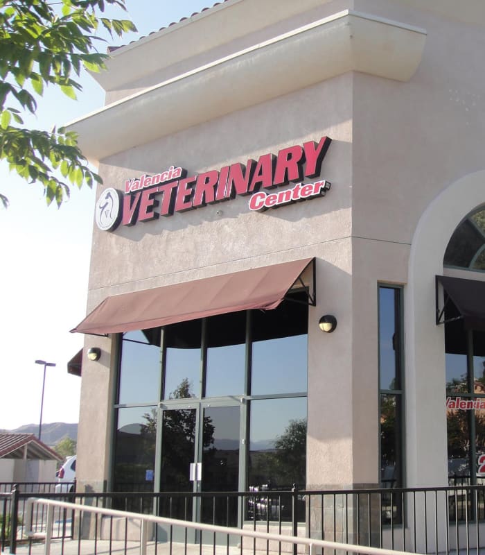 Valencia Veterinary Center in Santa Clarita